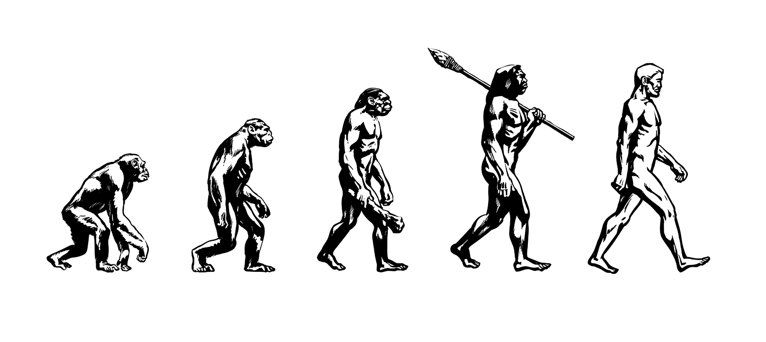 Menneskets evolusjon fra krum til strak rygg